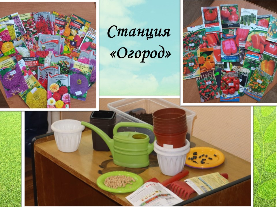 Слайд5