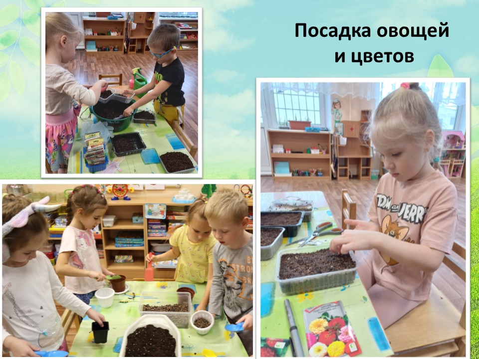 Слайд6